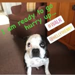 Kent Hamilton - @kenth64 - Instagram