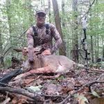 Kent Hamilton - @hamilton.92193 - Instagram