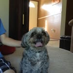 Cole Kent Harper - @cole.harper2003 - Instagram