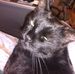 Kent Hilliard - Facebook