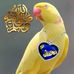 Kent Hilton - Facebook