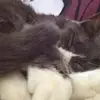 joyce.j.kent - @joyce.j.kent - TikTok