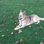 Keith Kent - @keith.kent.585 - Instagram