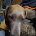 Kent Keller - Facebook