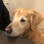 Kent Kiefer - @imphistorian - Instagram