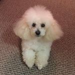 Kent Kilpatrick - @golfmiway - Instagram