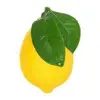 LemonDrop - @lemondropkent - TikTok