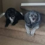 Kent Linder - @bigdawglinder - Instagram