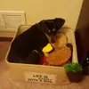 Ken Longenecker - @ken.longenecker6 - TikTok