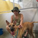 Lyman Ting - @lymankenting - Instagram