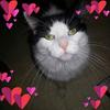user43281685516 - @kentmackenzie - TikTok