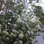 Marilyn Melton Kent - @meltonkent - Instagram