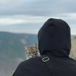 kent_mix - @pall_mal_mix - Instagram