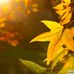 Kent Nickell Photography - Facebook