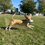 Oakley Kent🩵 - @oakley_kent62 - Instagram