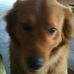 Kent Prescott - Facebook