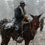 Kent Riggs - @kentriggs1 - Instagram