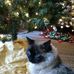 Kent Robertson - Facebook