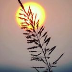 Kent Roland - @kentroland64 - Instagram
