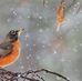 Kent Shrader - Facebook