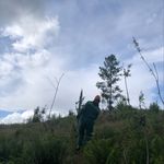 Kent Simon - @seamoanix - Instagram