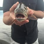 Kent Stanley - @letsgofishing40 - Instagram