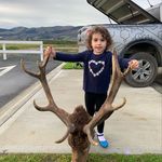 Kent Strange - @kentstrange - Instagram