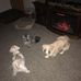 Kent Townsend - Facebook