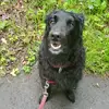 West Kent Tutor - @west.kent.tutor - TikTok