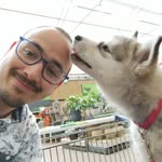 Kent Visser - @nanuq_and_fam_alaskan_malamute - Instagram