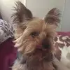 kentwalker702 - @kentwalker702 - TikTok