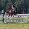 kenton.willard - @kenton.willard - TikTok