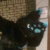 kentathewolf - @kentathewolf - TikTok