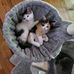 Kenton Dickerson - Facebook