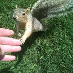 Kenton Stephens - @atx_excursions - Instagram