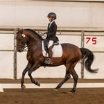 Kenton Wright - @kentonwrightequestrian - Instagram