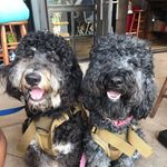 Kenya and Benjamin - @kenyaandbenjamin - Instagram
