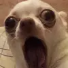 kenyabennett511 - @kenyabennett511 - TikTok