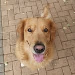 @chase_and_kenya - Instagram