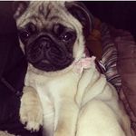 Tanya Hamilton - @kenya_hamilton - Instagram