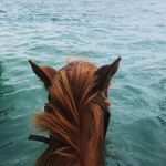 Kenya Holt - @kenyaholt7 - Instagram