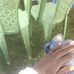 Jamison Joseph - Facebook