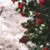 mackeykenya - @mackeykenya - TikTok