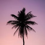 Kenya Manning - @kenyajackson643 - Instagram