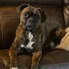 kenya.mccormick - @kenya.mccormick - TikTok