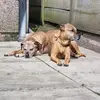Kenya and Ella's Memorial page - @kenyaandella - TikTok