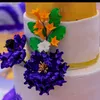 Sweetbursteventskenya - @sweetbursteventskenya - TikTok