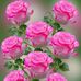 Wuod Mary Richie - Facebook