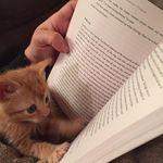 Kenya Winn - @kenyawinnreads - Instagram
