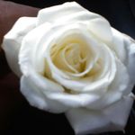 kenyatta mcgee - @kenyattajr5 - Instagram
